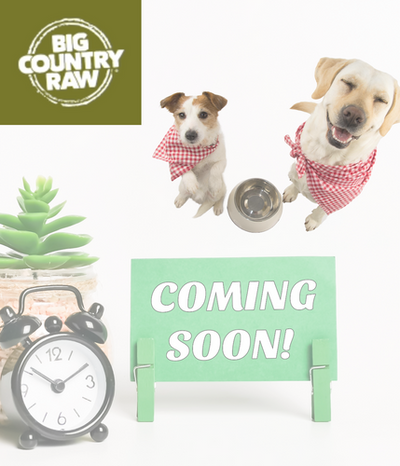 Elevate your pet's nutrition with Big Country Raw (BCR) products at Ashario Pets Store. Offering raw, nutrient-rich meals, BCR supports your pet's health and vitality.