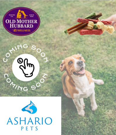 Explore the goodness of Old Mother Hubbard's pet food and treats at Ashario Pets Store. Crafted with care and quality ingredients, these offerings provide your beloved pets with the nutrition they need for a healthy and happy life.