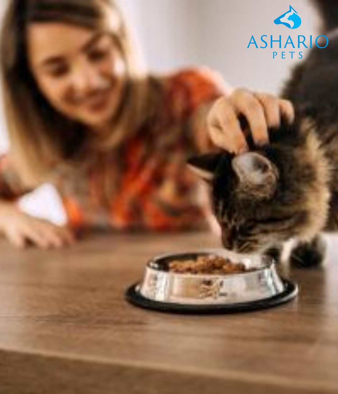 Can humans eat dog or cat food AsharioPets