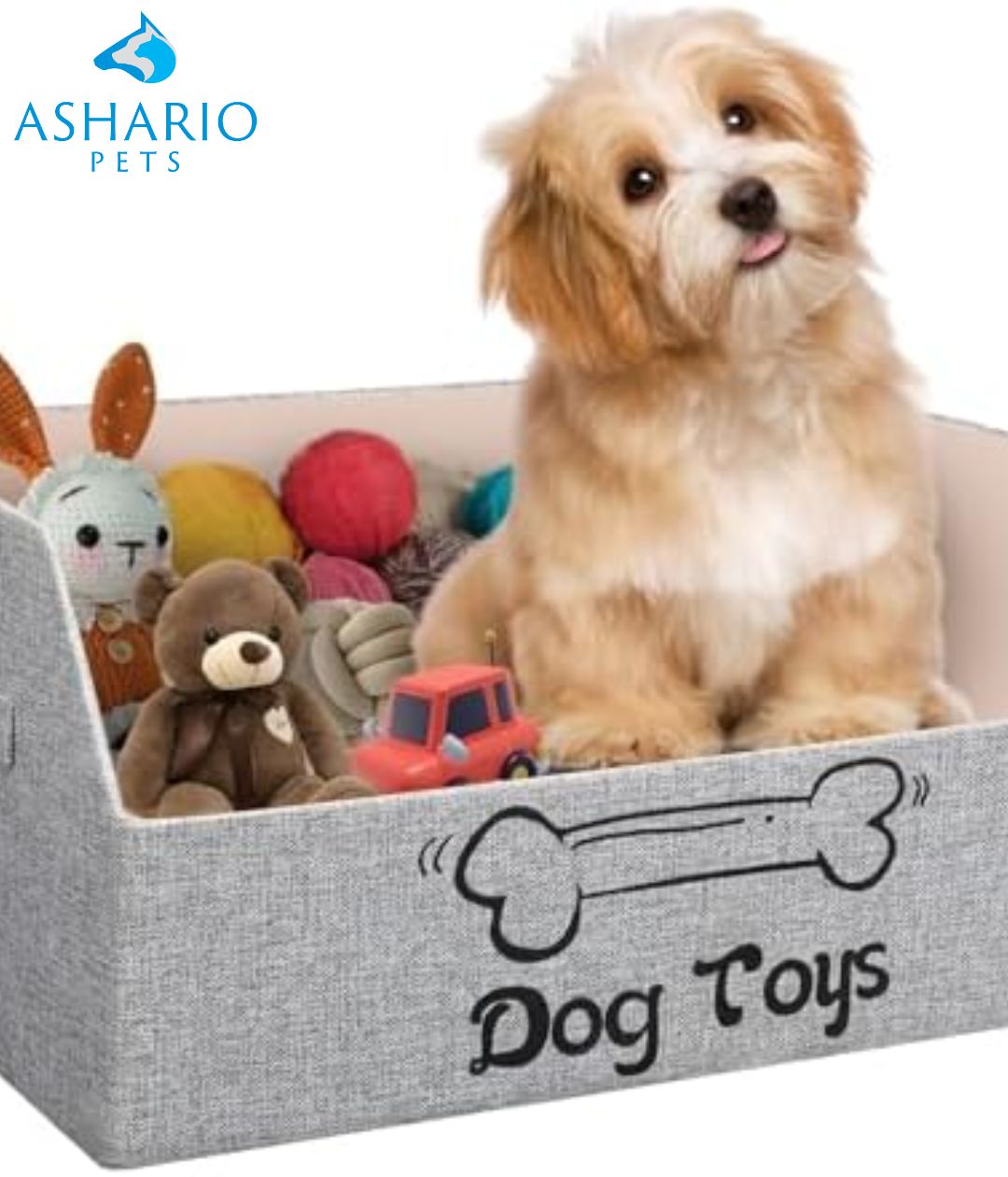 Creative Dog Toy Storage Ideas to Keep Your Home Tidy and