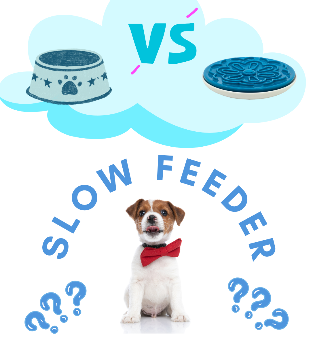 the-wonders-of-slow-feeders-for-dogs-ashariopets