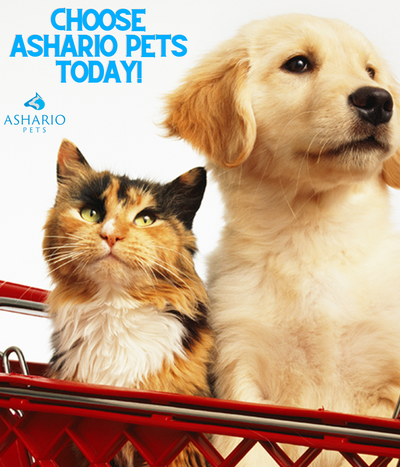 Opt for Ashario Pets over Global Pet Foods for unparalleled pet care in North York. Our pet store inventory includes premium dog food and organic pet food near me, surpassing online pet stores Canada.