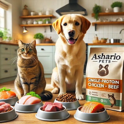 The Benefits of Single-Protein Pet Food – Ashario Pets