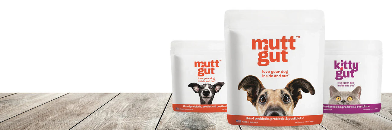 MuttGutt
