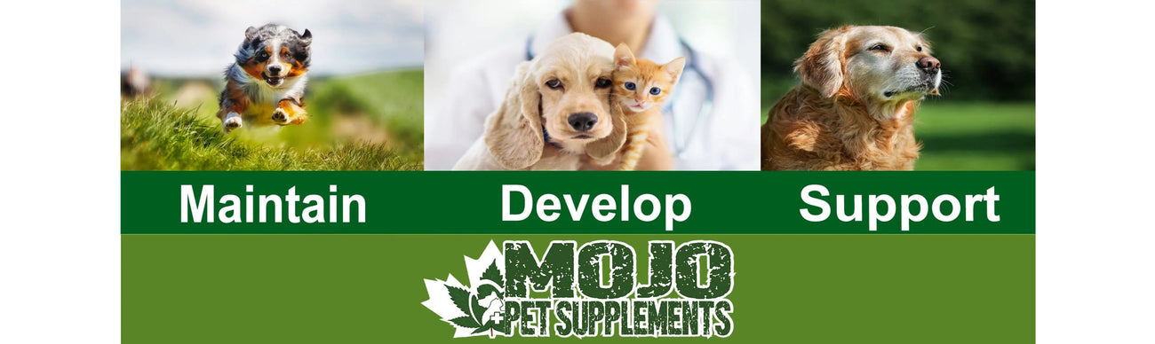 MOJO Pet Supplements