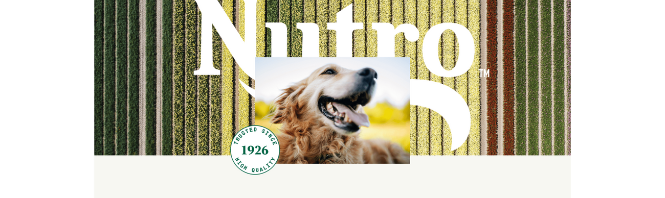 Nutro