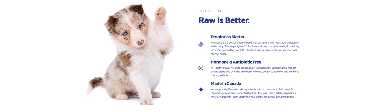 Healthy Paws