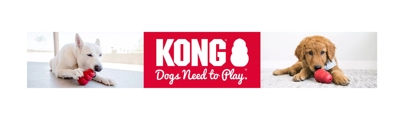 Kong