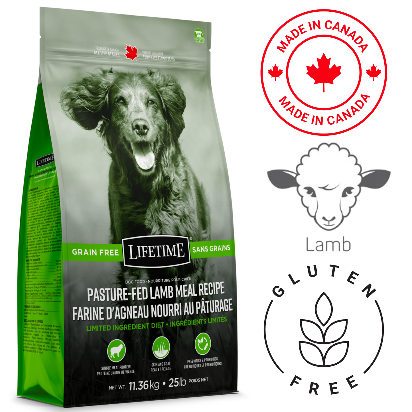Lifetime Grain-Free Pasture-Fed Lamb Dog Food 11.36 Kg, complete and balanced diet for dogs. Features high-quality lamb and grain-free ingredients.