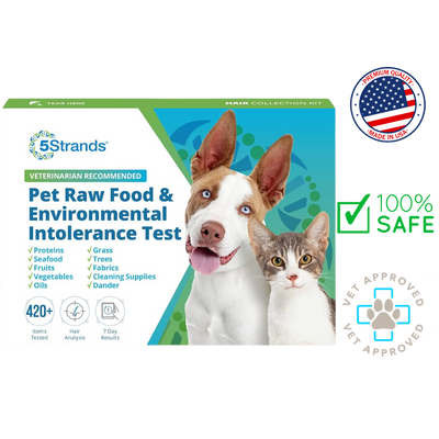 5Strands intolerance test kit for pets with detailed test results for food and environmental allergies