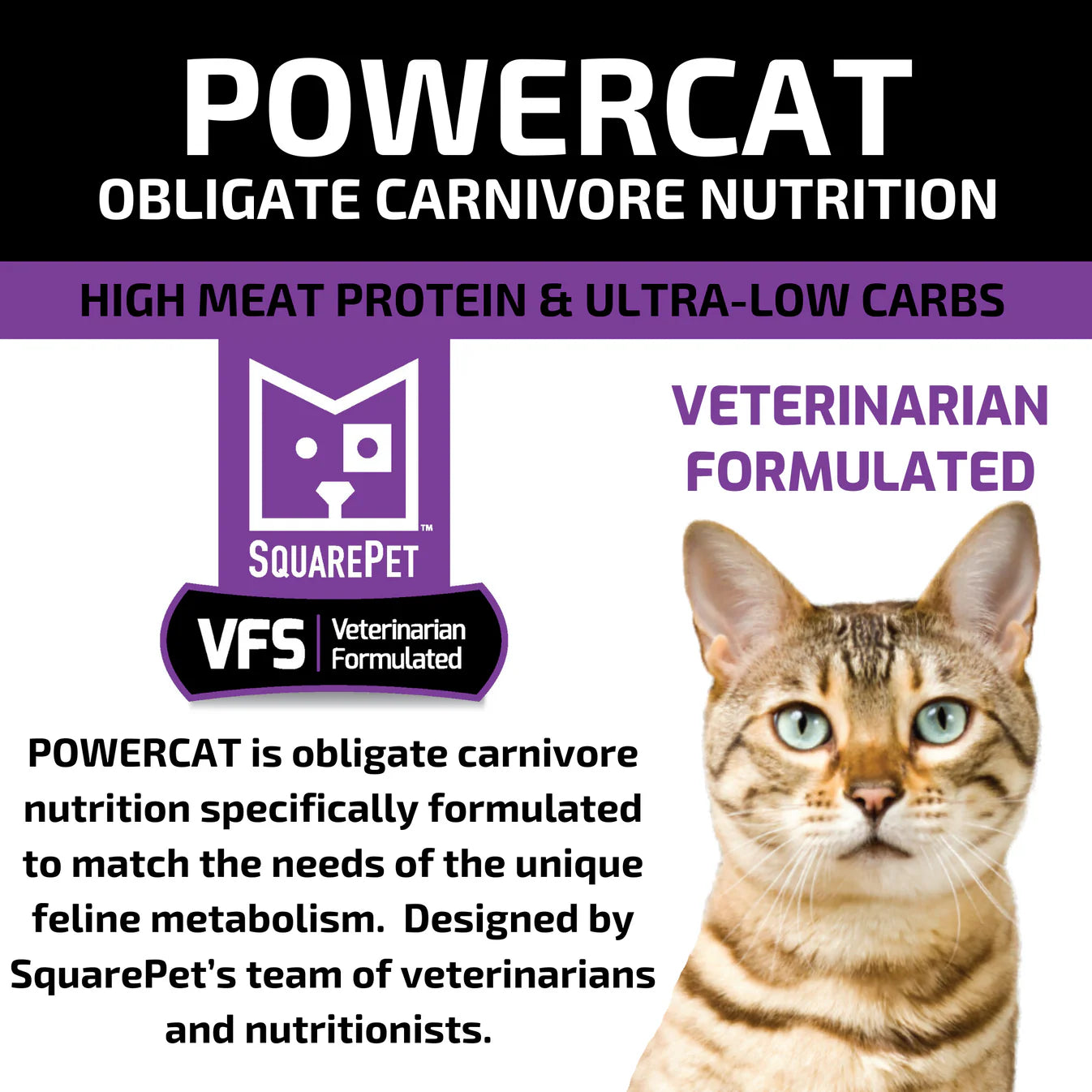 SquarePet - Feline Turkey & Chicken Dry Cat Food