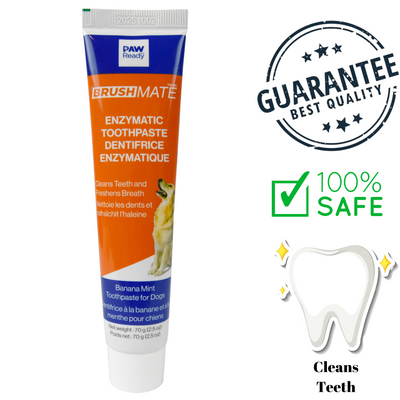 Paw Ready - BrushMate Banana Mint Enzymatic Dog Toothpaste - 70 Grams