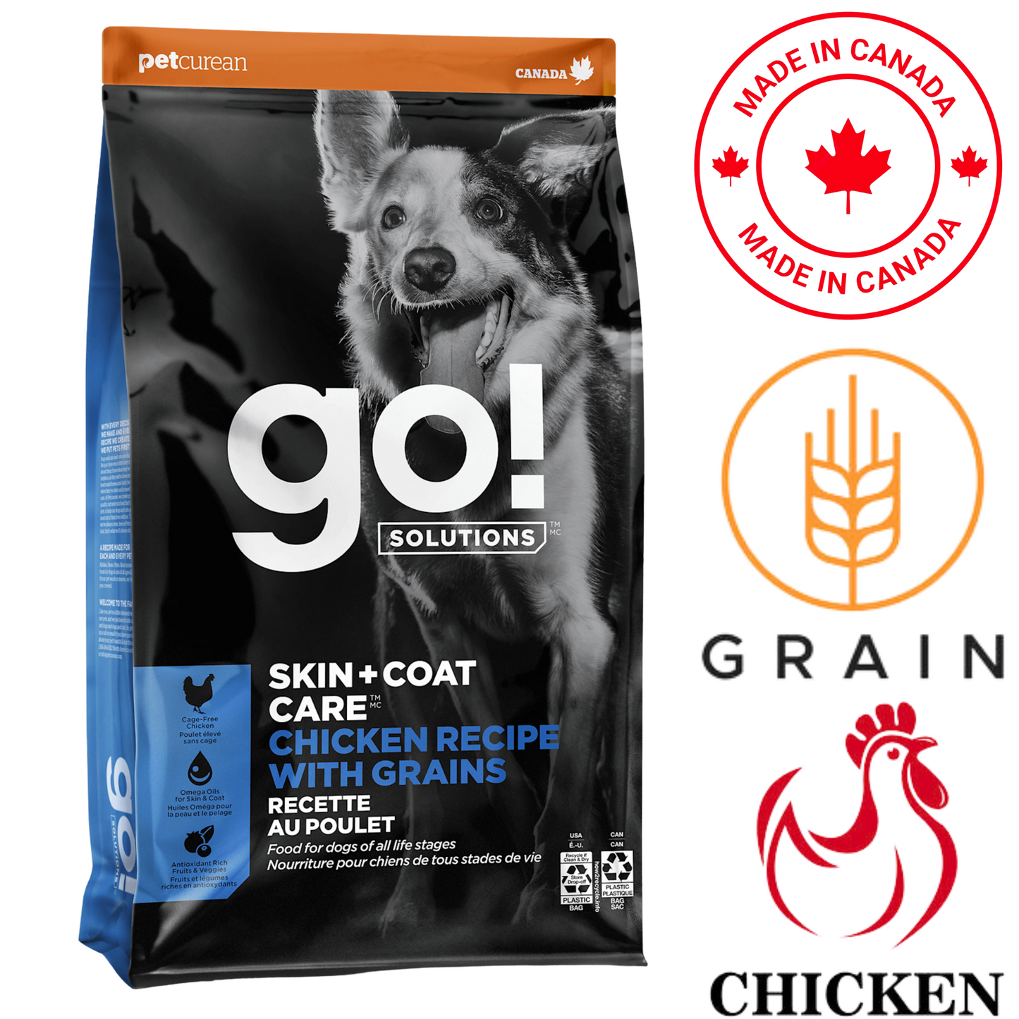Go! Solutions - Skin + Coat Care Chicken With Grains Dry Dog Food