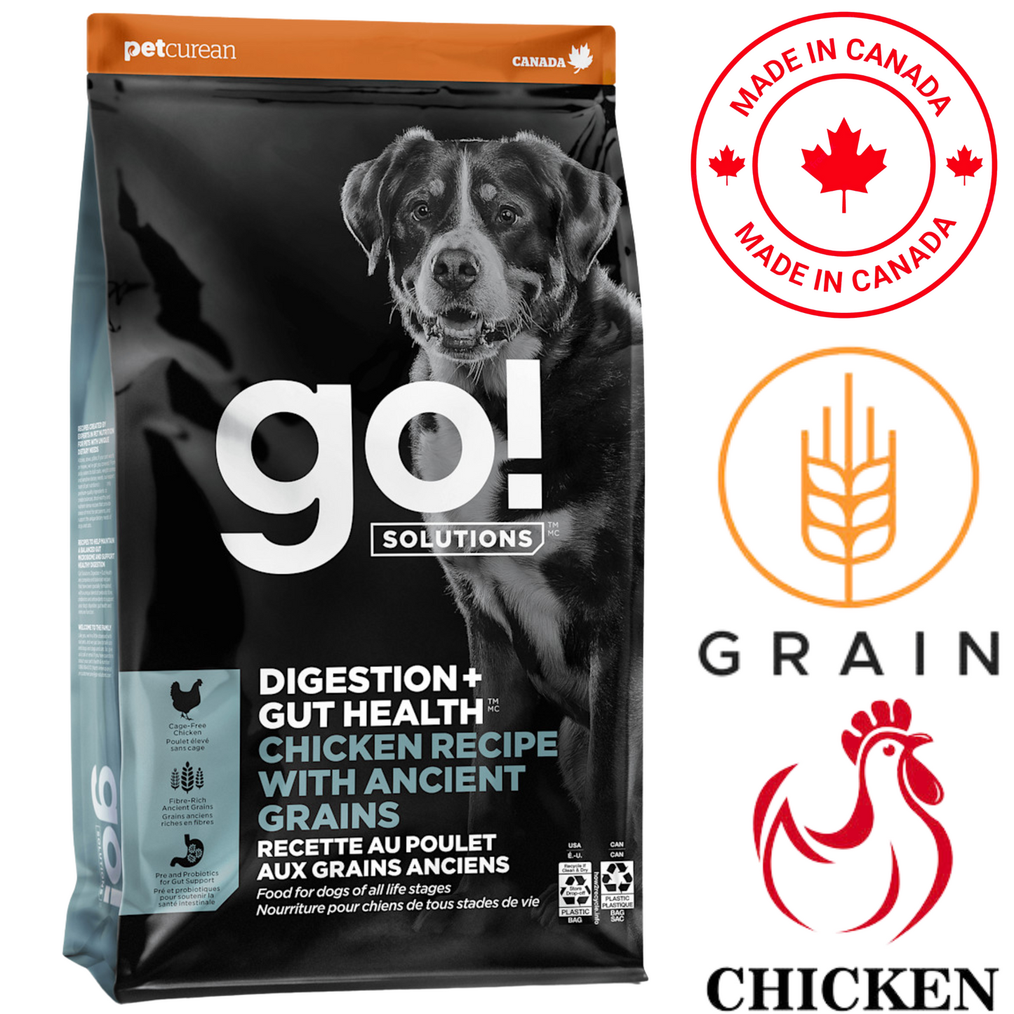 Go! Solutions - Digestion + Gut Health Chicken With Ancient Grains Dry Dog Food