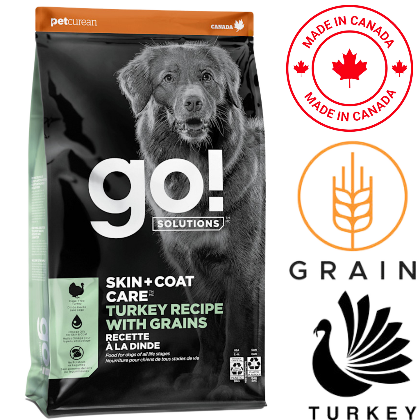 Go! Solutions - Skin + Coat Care Turkey With Grains Dry Dog Food