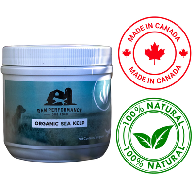 Raw Performance - Organic Sea Kelp Dog Supplement - 340 Grams