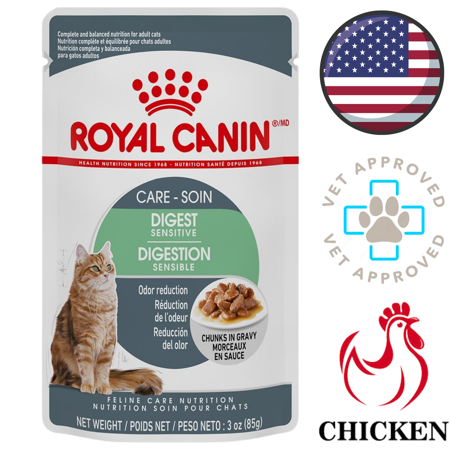 Royal Canin - Feline Care Nutrition Digestive Chunks In Gravy Wet Cat Food Pouch - 3 Oz