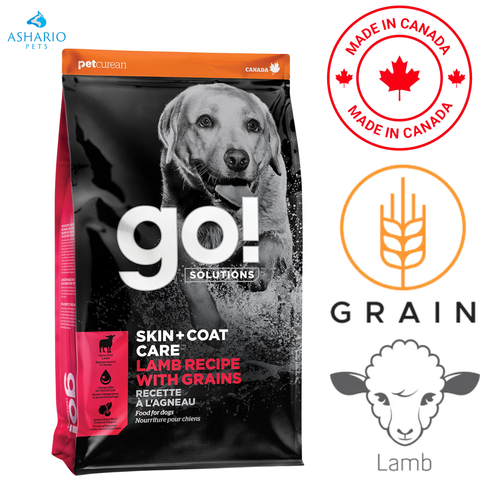 Go! Solutions - Skin + Coat Care Lamb With Grains Dry Dog Food — main