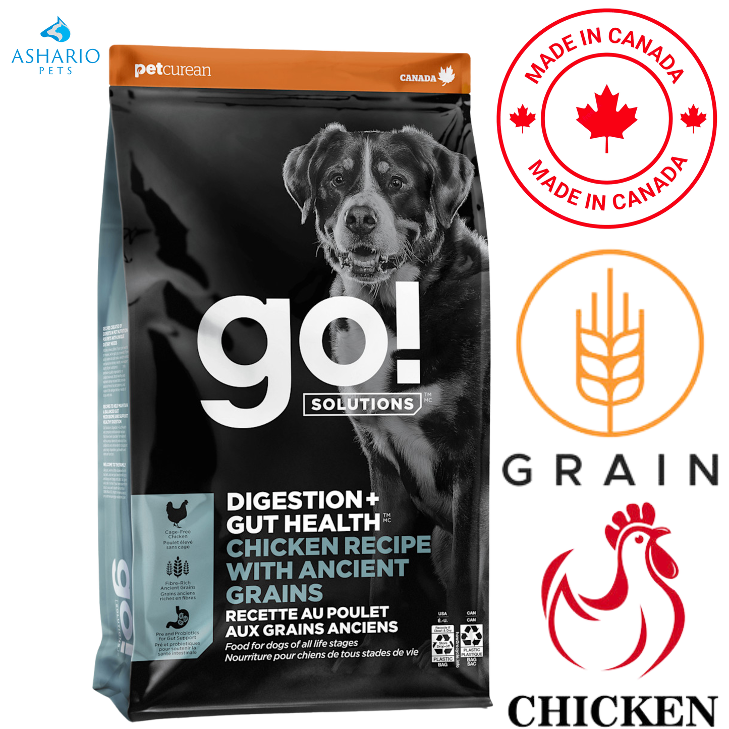 Go! Solutions - Digestion + Gut Health Chicken With Ancient Grains Dry Dog Food
