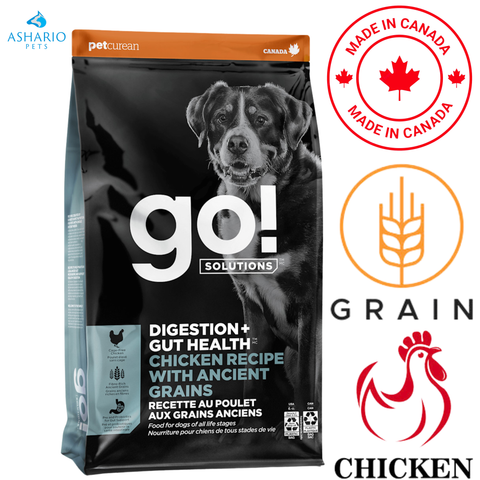 Go! Solutions - Digestion + Gut Health Chicken With Ancient Grains Dry Dog Food — main