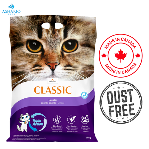 Intersand - City Classic Premium Lavender Clumping Cat Litter — main