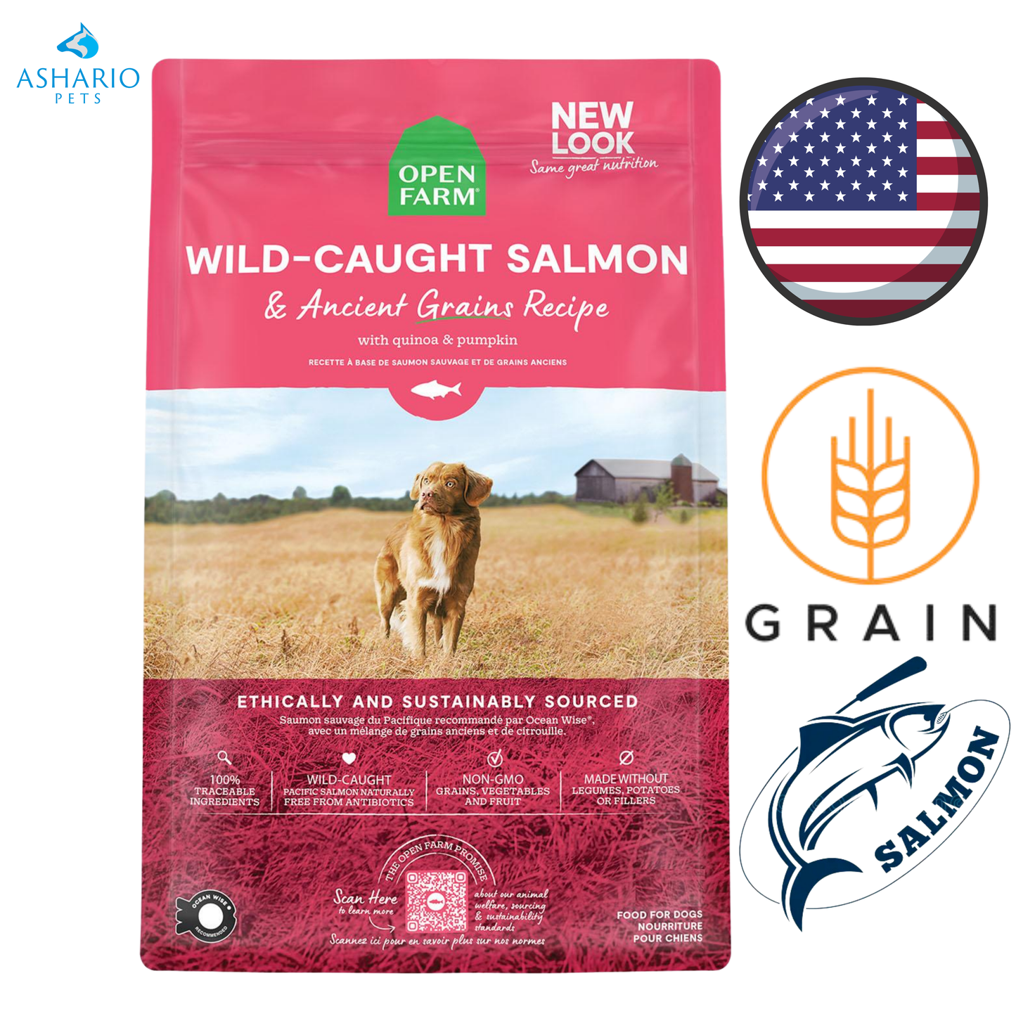 Open Farm - Croquettes pour chiens au saumon sauvage et aux céréales anciennes - 4 lb, 22 lb