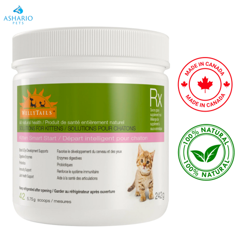 Wellytails - Kitten Smart Start Rx Cat Supplement — main