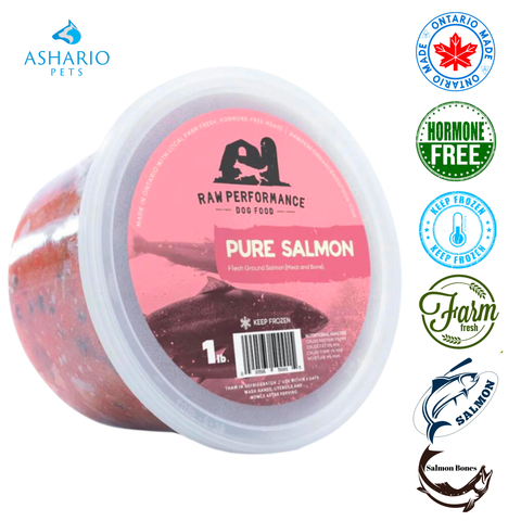 Raw Performance - Pure Salmon Raw Dog Food