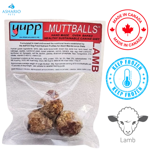Yupp - Mini MuttBalls Lamb Raw Dog Food