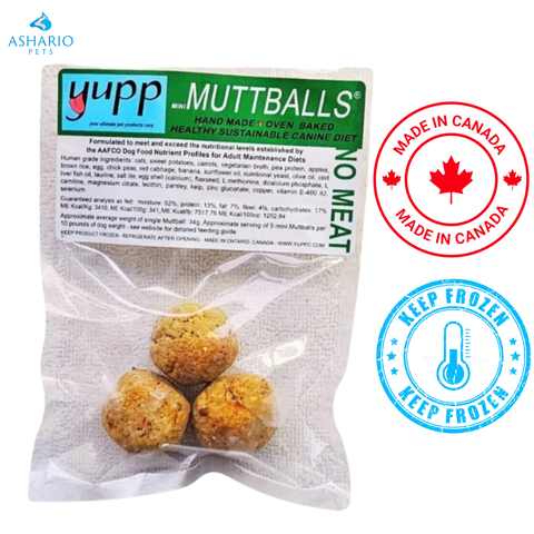 Yupp - Mini MuttBalls No Meat Vegetarian Raw Dog Food