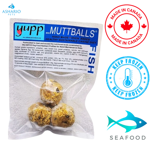 Yupp - Mini MuttBalls Fish Raw Dog Food