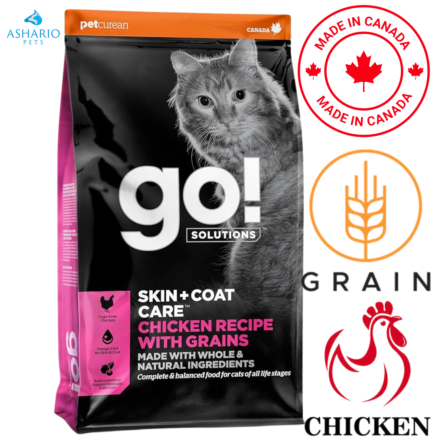 Go! Solutions - Skin + Coat Care Chicken With Grains Dry Cat Food