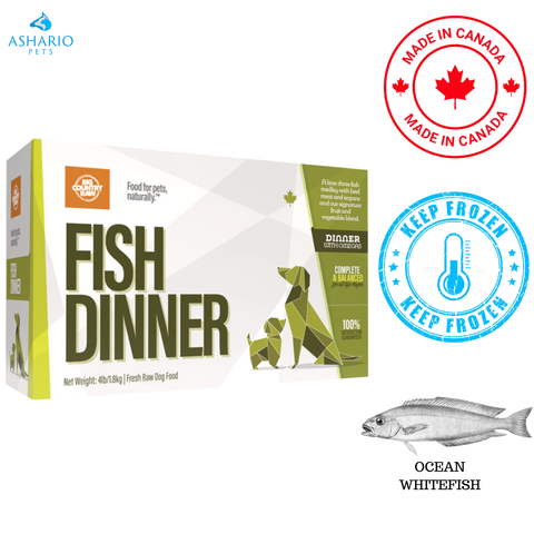 Big Country Raw - Fish Dinner Carton Raw Dog Food