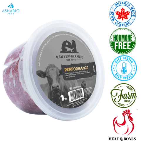 Raw Performance - Performance Blend Raw Dog Food — main