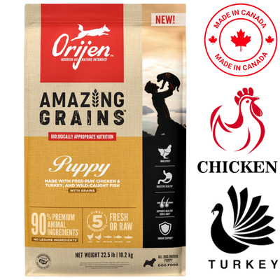 Orijen - Amazing Grains Chicken Puppy Dry Food