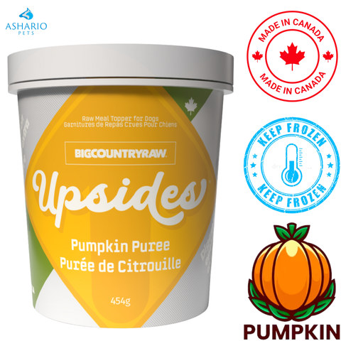 Big Country Raw - Upsides Pumpkin Puree Meal Topper