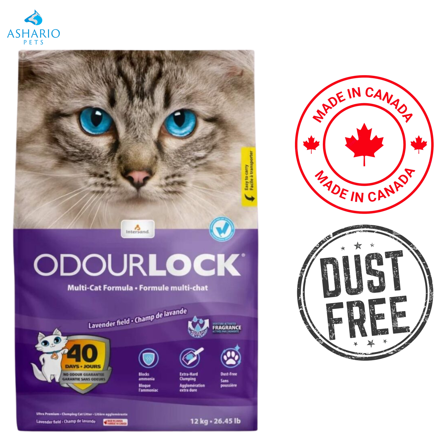 OdourLock - Litière agglomérante pour chat à la lavande de qualité supérieure - 6 kg