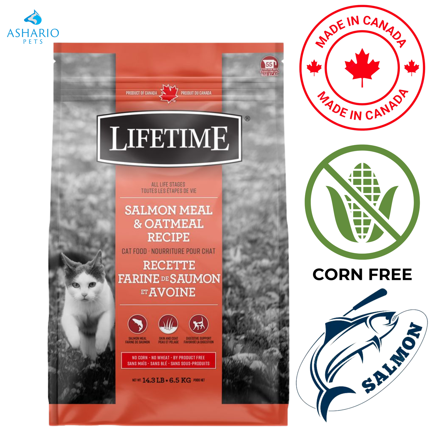 Lifetime - Nourriture pour chats à toutes les étapes de la vie au saumon et à l'avoine - 2,27 kg