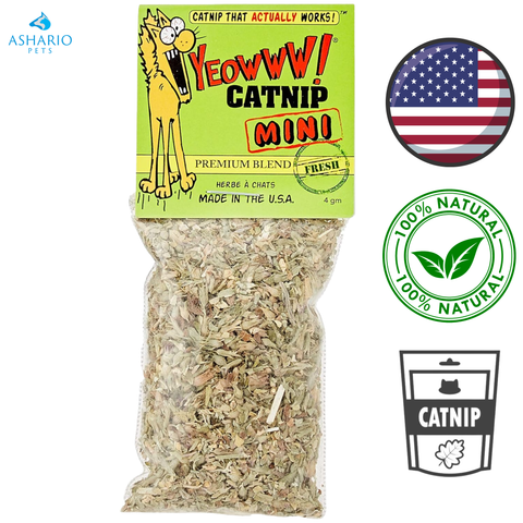 YEOWWW! - Catnip Mini Singles — main