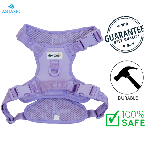 Dexypaws - No-Pull Lilac Dog Harness — main