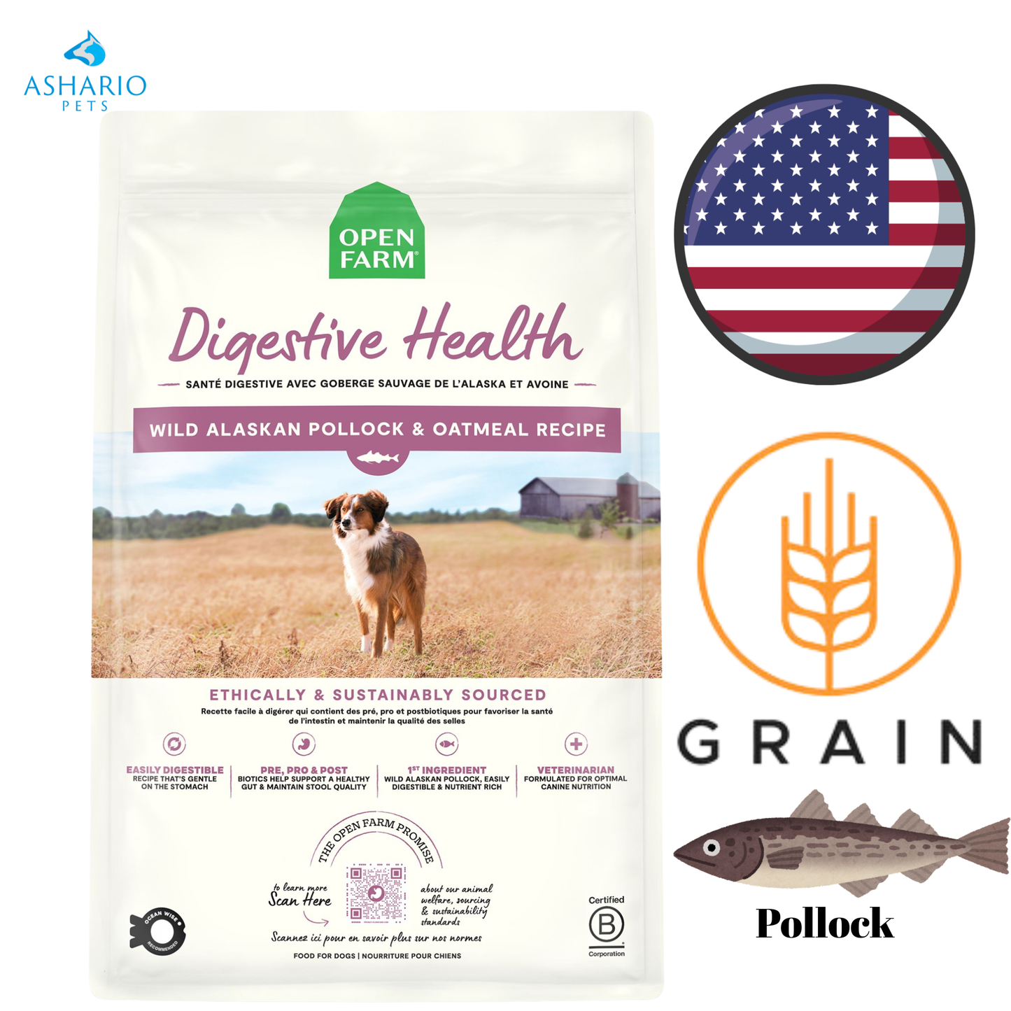 Open Farm - Digestive Health Wild Alaskan Pollock & Oatmeal Dry Dog Food — main