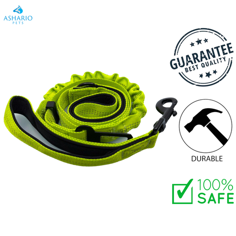 Ashario Pets - “SafeRide Pro”伸缩式汽车牵引带 - 绿色