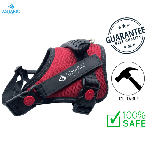 Ashario Pets - “TactiHarness Lite”反光防拉设计背带 - 大号