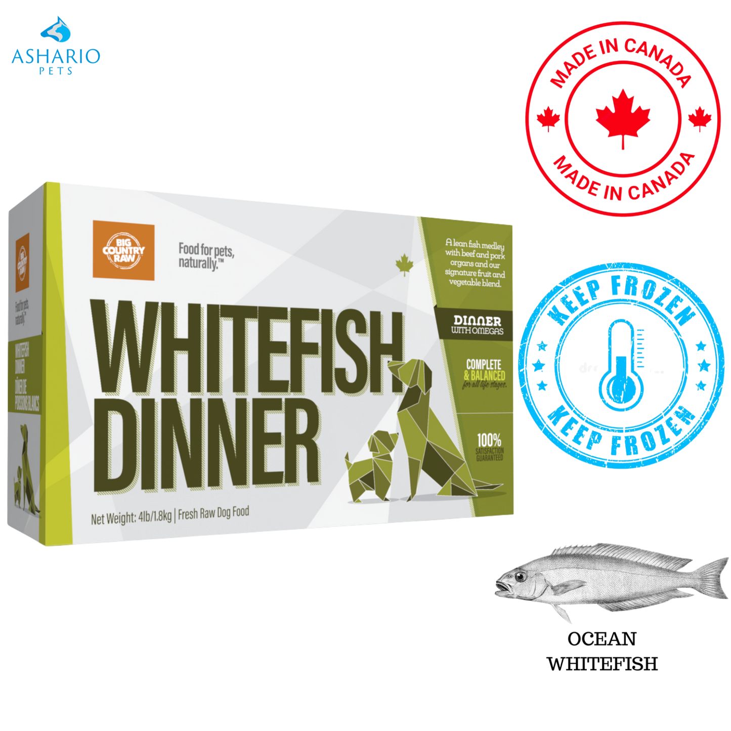 Big Country Raw - Whitefish Dinner Carton Raw Dog Food — main