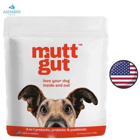 MuttGutt - Soutien intestinal 3-1 - 90 grammes