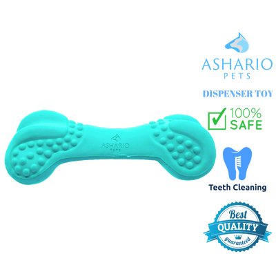 Ashario dog bone chew toy in turquoise with teeth cleaning texture and safe durable material