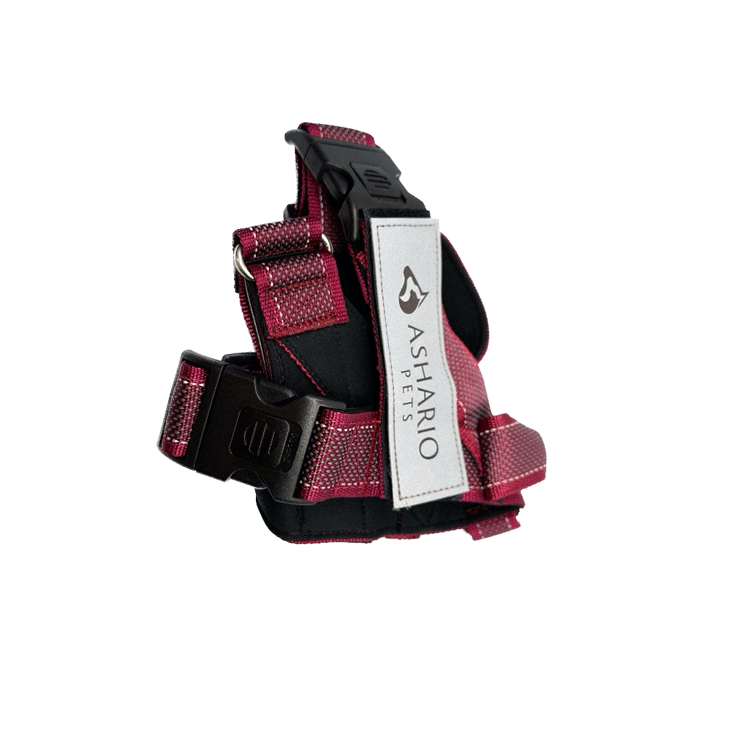 Ashario pets breezyvest medium reflective pet harness in red with adjustable straps and secure buckle