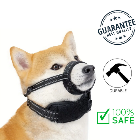 Ashario pets large safety dog muzzle with collar on a tan and white dog showing durable and safe design