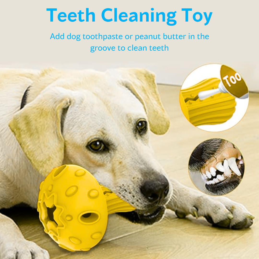 Dog chewing on Ashario Pets mushroom dispenser toy for pets designed for teeth cleaning with grooves for toothpaste or peanut butter