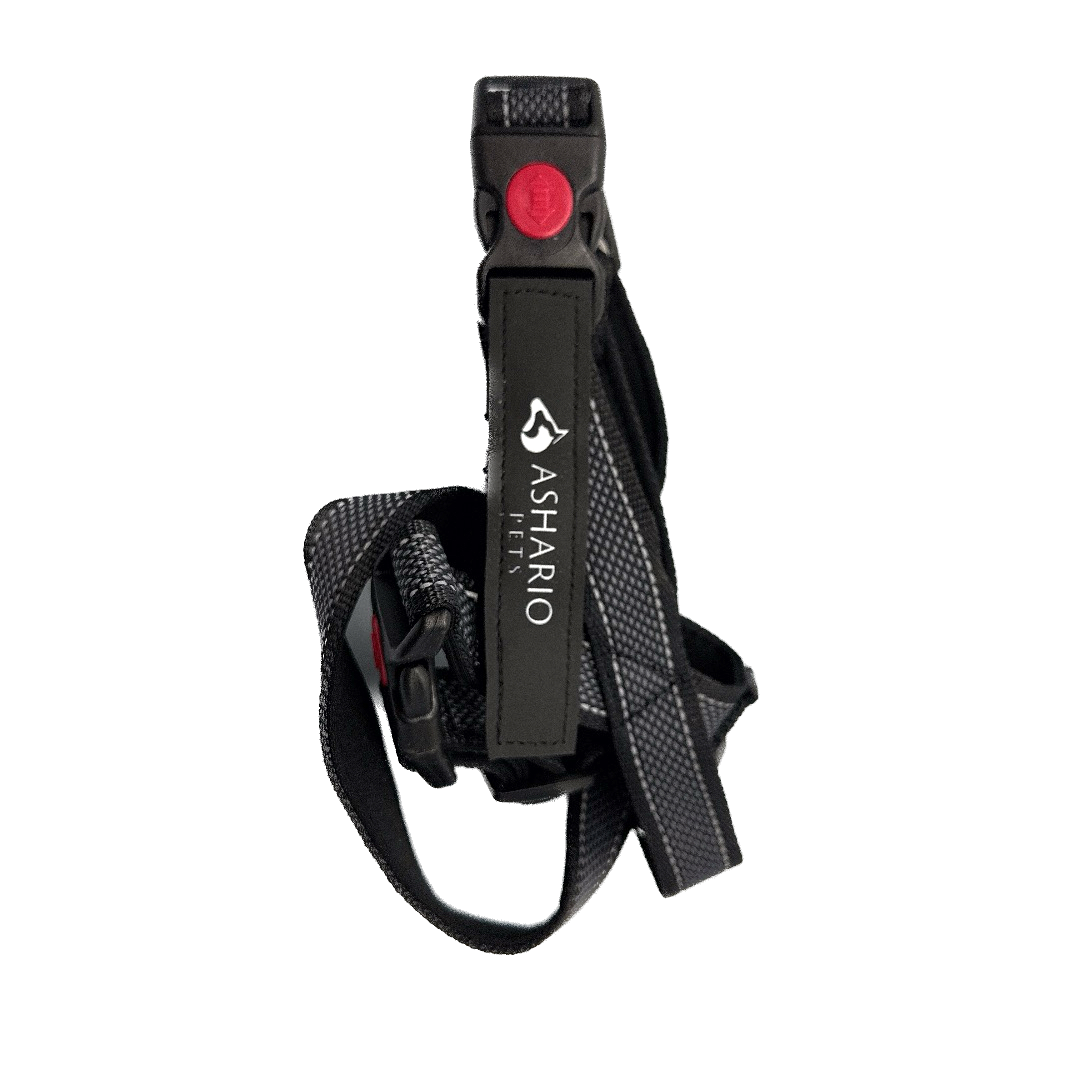 Ashario pets small lightweight dog harness summer in black with reflective straps and easy buckle